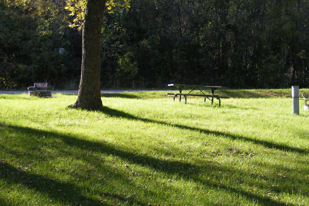 Campsite 197 in Marble Beach State Park Campground at Marble Beach